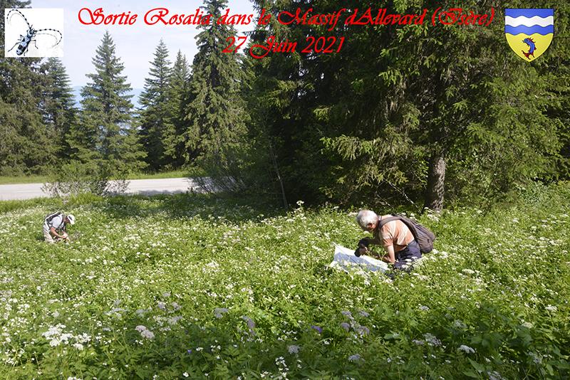 Sortie ROSALIA 2021 Haut -Breda