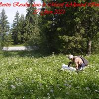 Sortie ROSALIA 2021 Haut -Breda