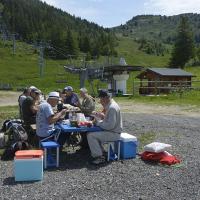 Le pique nique des entomos