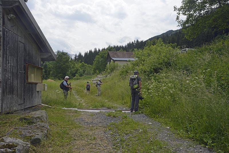 Prospection à La Ferrière (38)