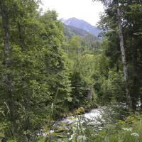 La Vallée du Bréda en amont de La Ferrière (38)