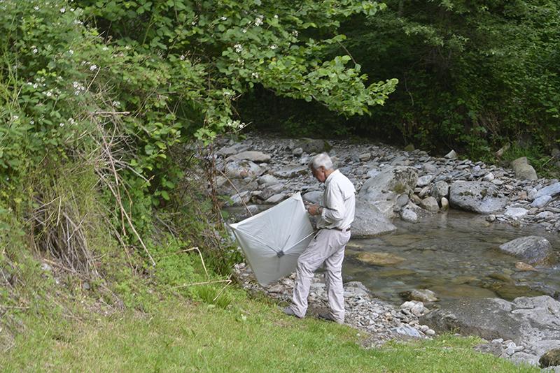 Battage sur la rive du Veyton - Allevard (38)