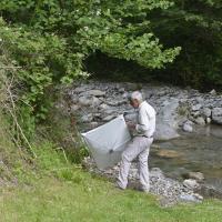 Battage sur la rive du Veyton - Allevard (38)