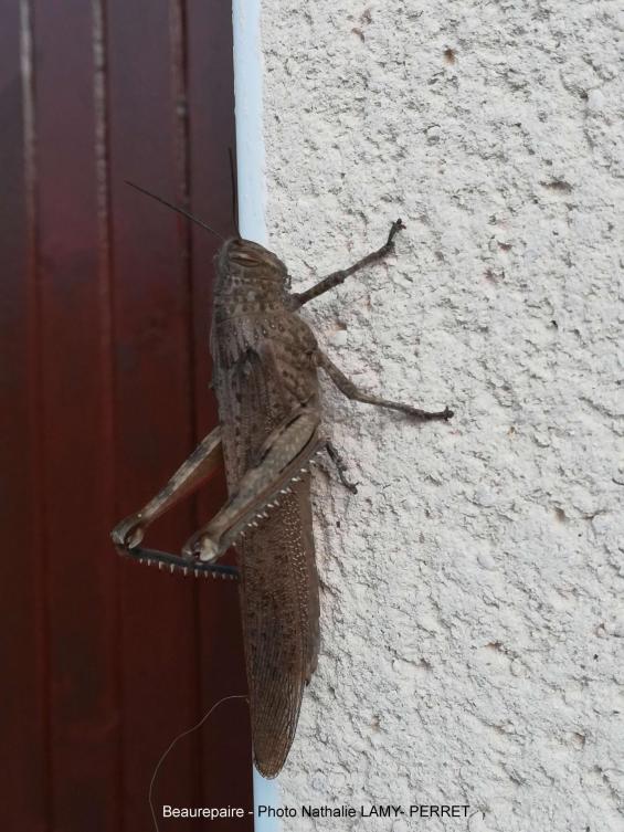 7 beaurepaire nathalie lamy perret