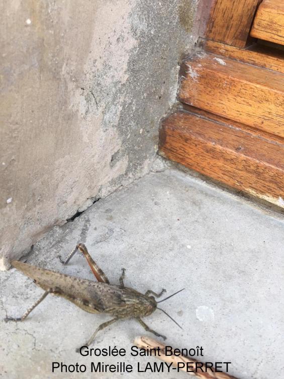 8 groslee st benoit 01 mireille lamy perret