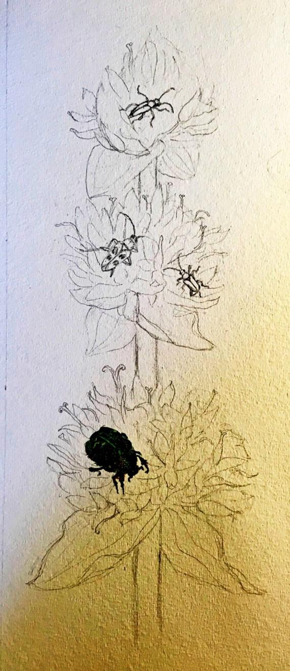 Etape 1 illustration