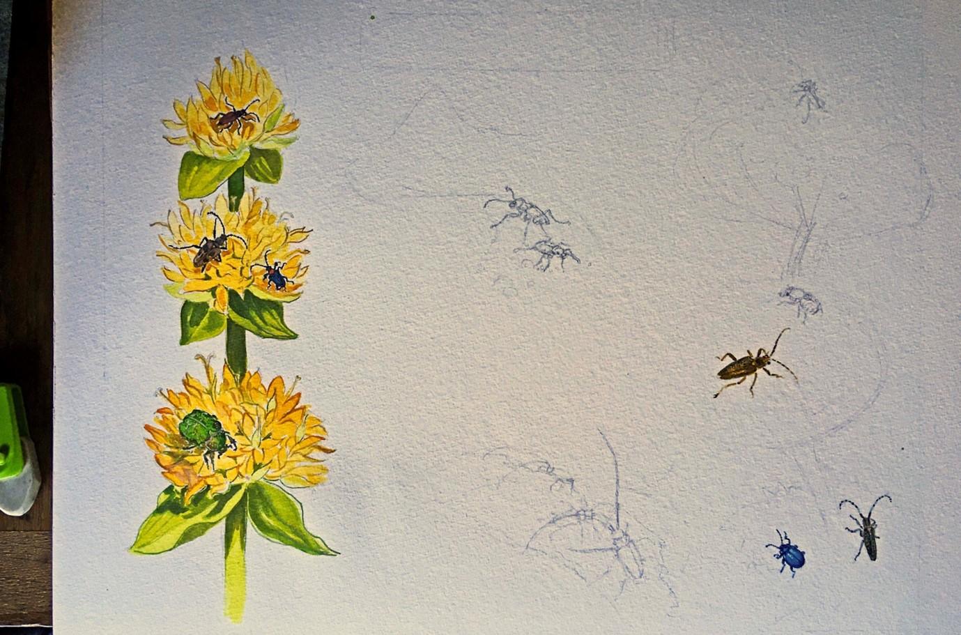 Etape 2 illustration