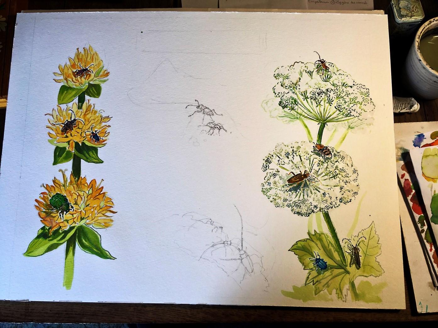 Etape 3 illustration